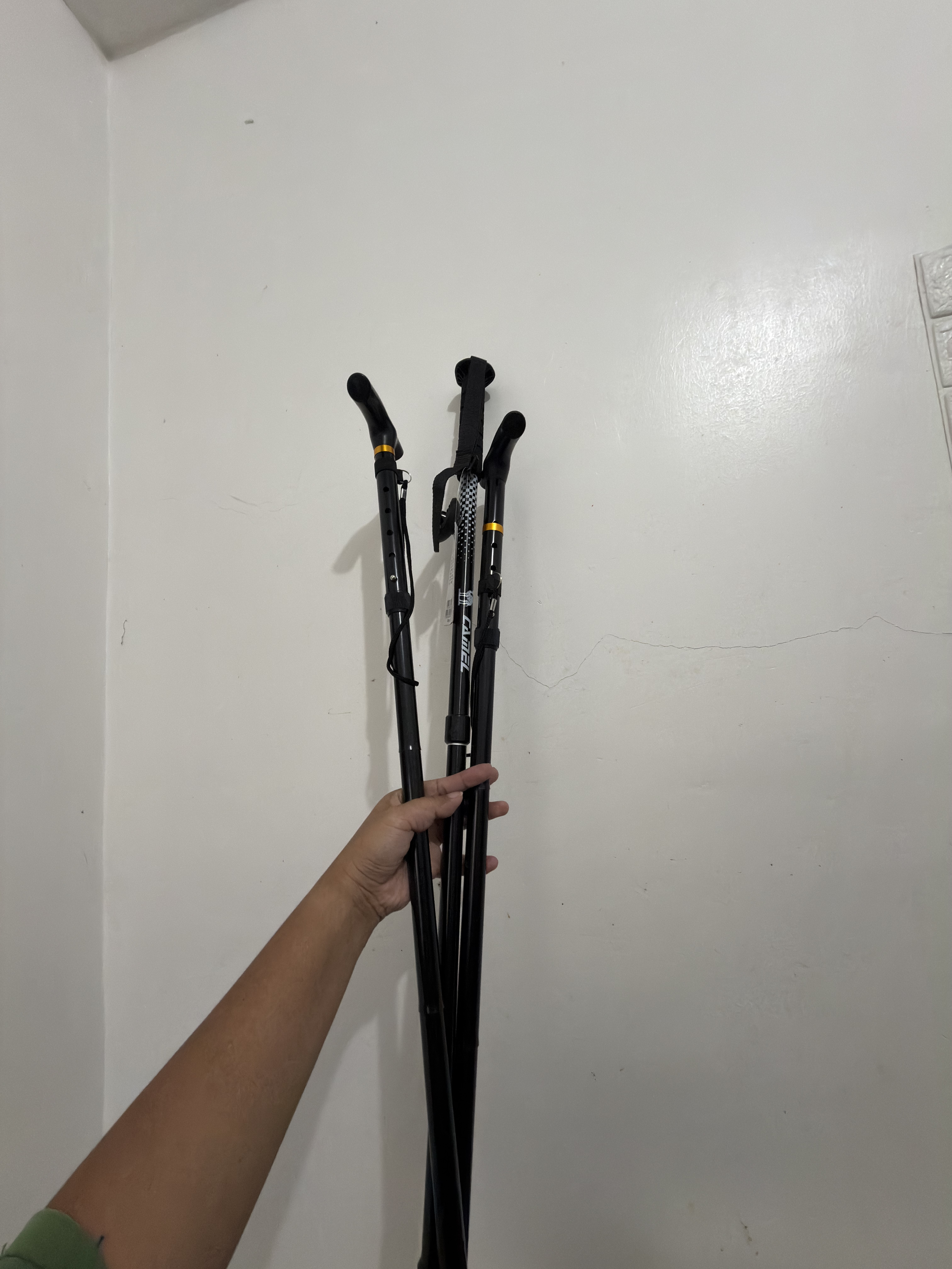 Trekking poles